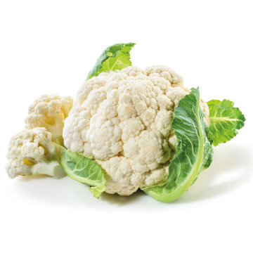 2021 New Season Fresh Vegetable Export Certifications Fresh Cauliflower